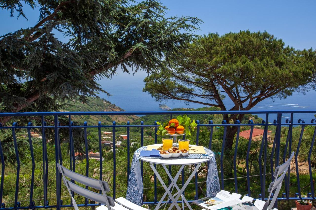 Villa Fedora Sea&Stars Massa Lubrense Ngoại thất bức ảnh